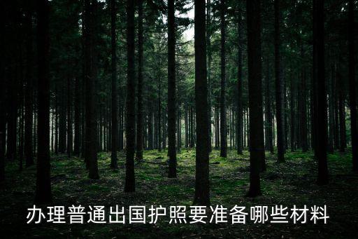 普通護照，公務普通護照是什么護照