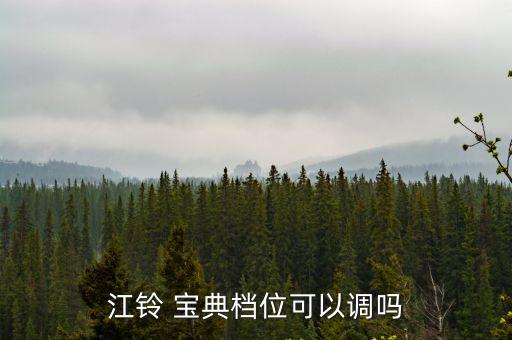 江鈴 寶典檔位可以調(diào)嗎