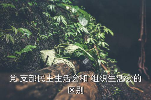 黨 支部民主生活會(huì)和 組織生活會(huì)的區(qū)別