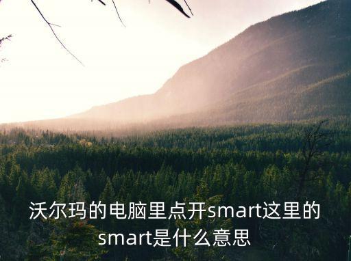 smart的意思，沃爾瑪的電腦里點開smart這里的smart是什么意思