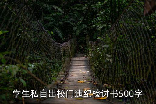 違紀檢討，學生私自出校門違紀檢討書500字