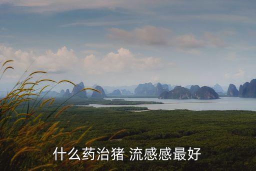 流感的藥,鵝流感怎么治?用大隆芳草新科治鵝!