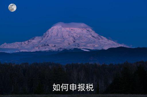 申報稅，申稅報稅交稅的整個稅務流程