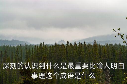 深刻的認識到什么是最重要比喻人明白事理這個成語是什么