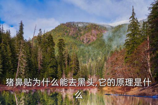 豬鼻貼,第二步:用剩下精華液濕潤鼻子第三步是粉紅鼻貼