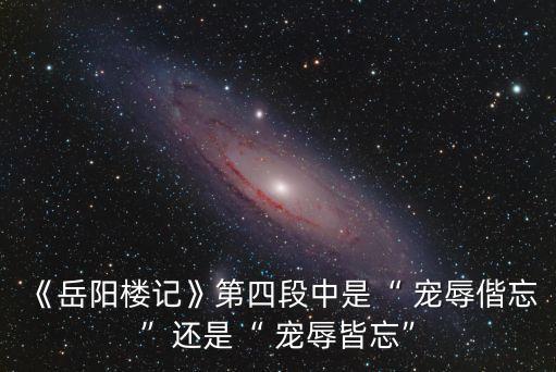 寵辱偕忘,寵辱忘了是中國習語!
