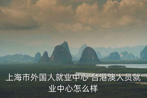 上海市外國(guó)人就業(yè)中心 臺(tái)港澳人員就業(yè)中心怎么樣