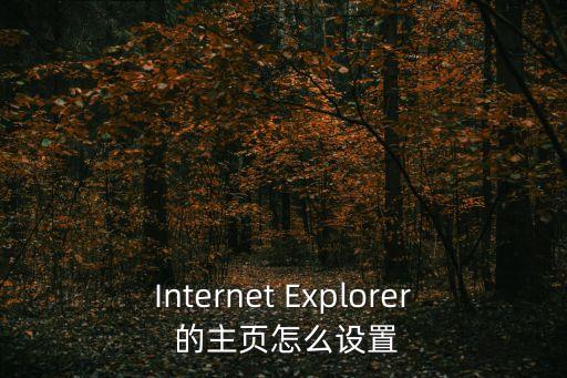 Internet Explorer 的主頁怎么設置