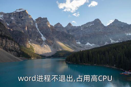 winword,我用64位ne外接程序加載后退出word