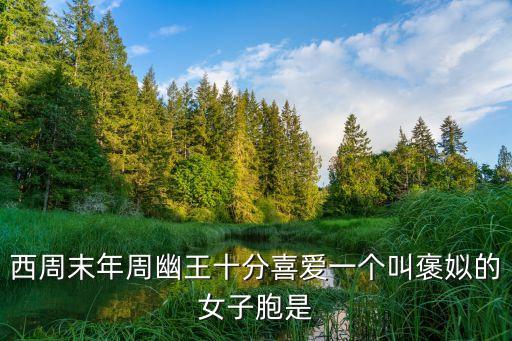 東周列傳,贊王第二任皇后柳青紅生卒年不詳