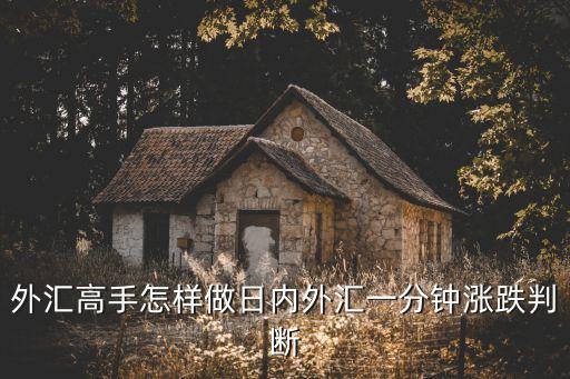 外匯高手怎樣做日內外匯一分鐘漲跌判斷
