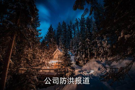 防汛簡報(bào)，公司防洪報(bào)道