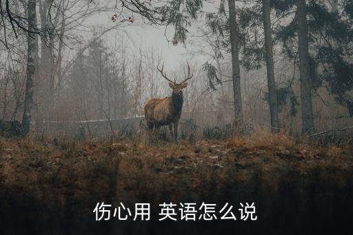 傷心用 英語怎么說