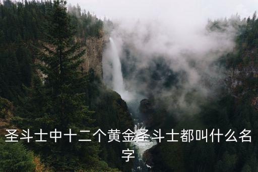圣斗士中十二個黃金圣斗士都叫什么名字