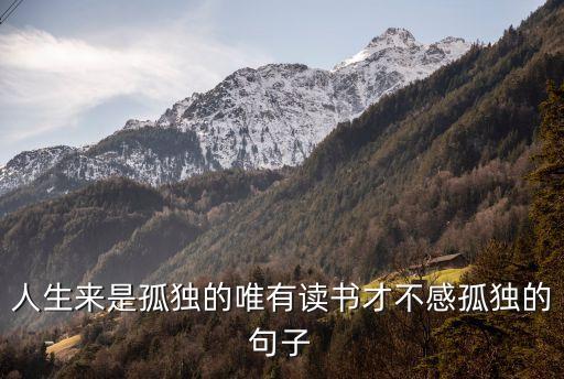 人生來孤獨，人生來是孤獨的唯有讀書才不感孤獨的句子