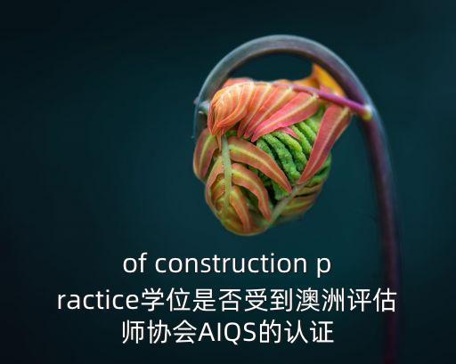 of construction practice學位是否受到澳洲評估師協會AIQS的認證