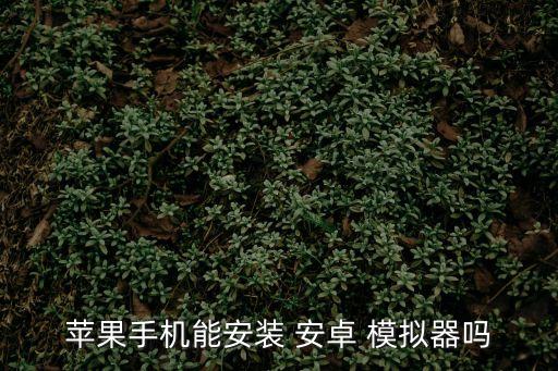 mac安卓模擬器,安卓模擬器mac地址修改結束電腦上體驗