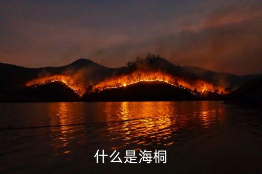 什么是海桐