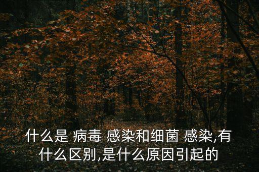 什么是 病毒 感染和細菌 感染,有什么區別,是什么原因引起的