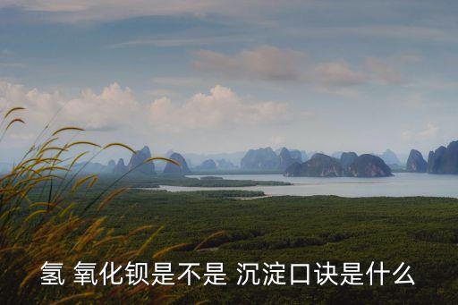 氫 氧化鋇是不是 沉淀口訣是什么
