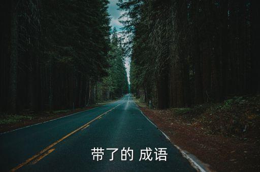 帶了的 成語