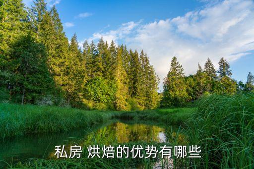 私房烘焙,節(jié)假日期間自帶烘焙做推廣客人點餐也會看到烘焙西點