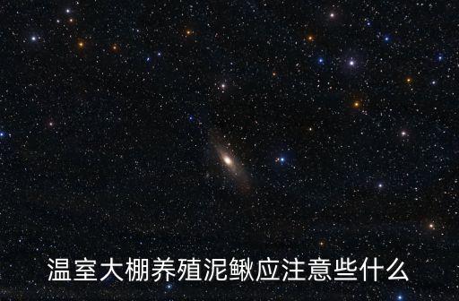 溫室大棚養(yǎng)殖泥鰍應(yīng)注意些什么