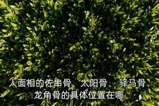 人面相的佐串骨、太陽骨、 驛馬骨、龍角骨的具體位置在哪