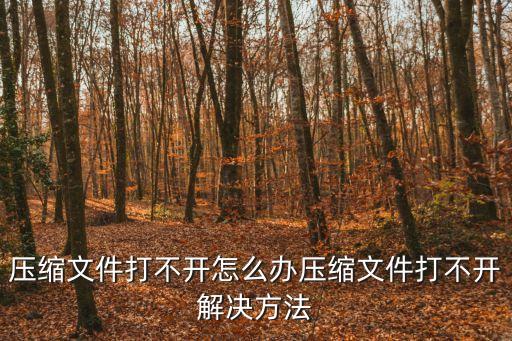 壓縮文件打不開(kāi)怎么辦壓縮文件打不開(kāi)解決方法
