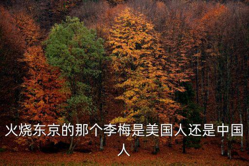 李梅火攻，火燒東京的那個李梅是美國人還是中國人