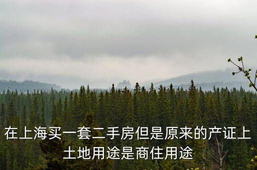 上海市國有土地上房屋，在上海買一套二手房但是原來的產證上土地用途是商住用途