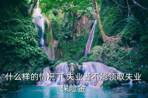 什么樣的情況下 失業(yè)者不能領(lǐng)取失業(yè)保險金