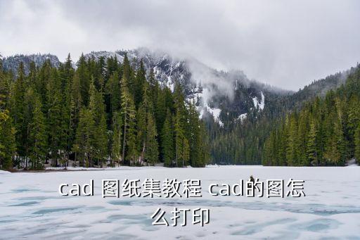 cad圖紙集,繪圖軟件打印機(jī)功能/步驟介紹一下