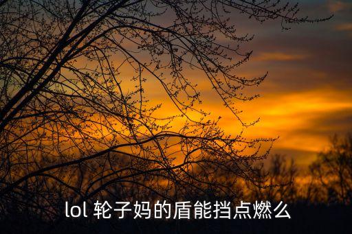  lol 輪子媽的盾能擋點燃么
