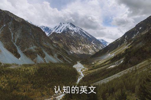 cognize，我只認定你 英文怎么寫