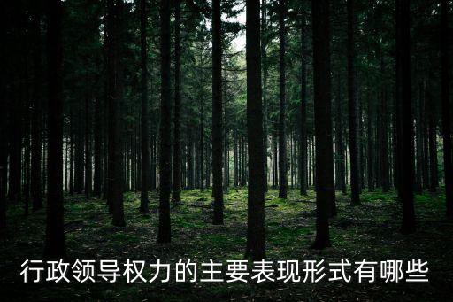行政領導權力的主要表現形式有哪些