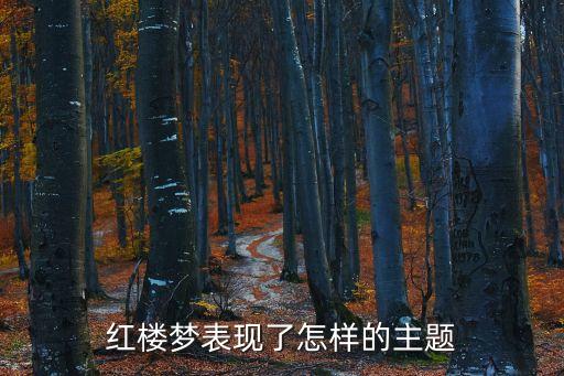 紅樓夢(mèng)表現(xiàn)了怎樣的主題