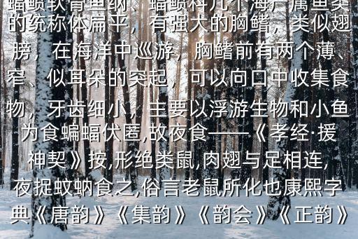 蝠組詞語,蝙蝠、蝙蝠俠蝙蝠衫蝙蝠戰蝙蝠
