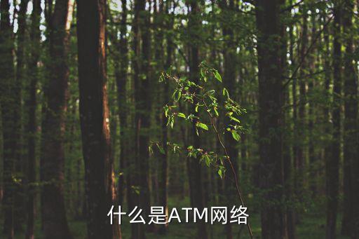 什么是ATM網絡