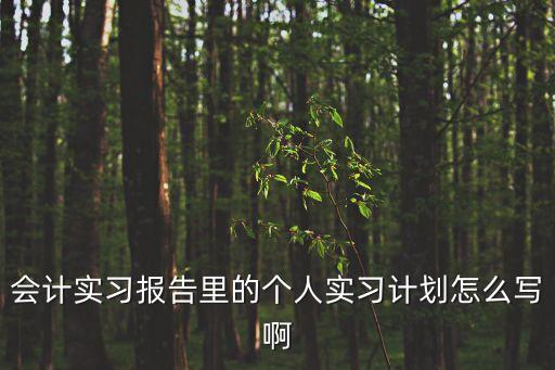 會計實習報告里的個人實習計劃怎么寫啊