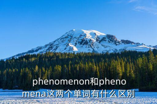 phenomenon和phenomena這兩個單詞有什么區(qū)別