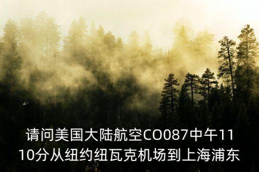 請問美國大陸航空CO087中午1110分從紐約紐瓦克機場到上海浦東