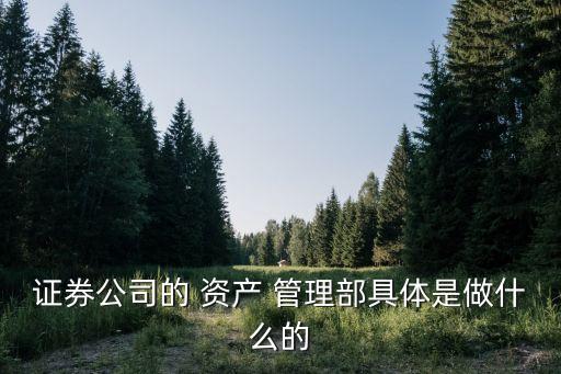 資產管理部,金融機構投資項目有哪些?