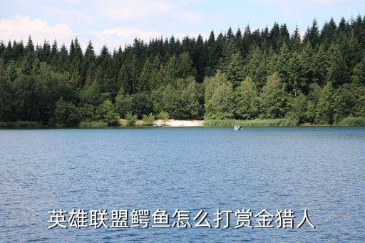 英雄聯(lián)盟鱷魚(yú)怎么打賞金獵人