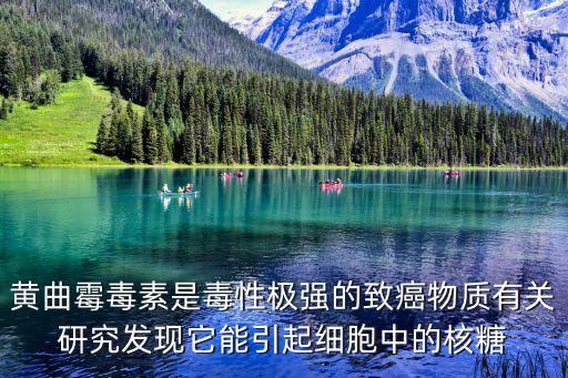 黃曲毒素，黃曲霉毒素主要存在于哪些霉變的植物性食品中