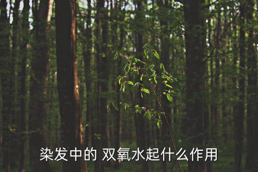 雙氧水的作用和用途,懷孕期間不能染發醫用雙氧水消毒劑