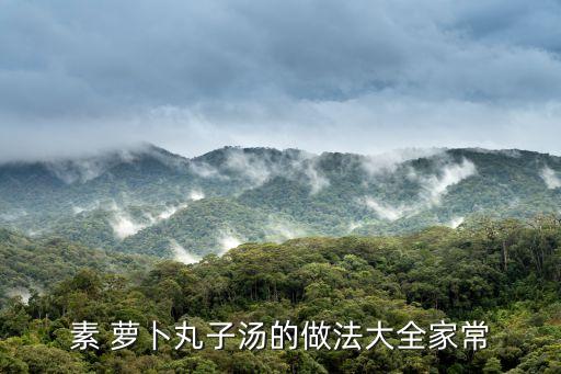 蘿卜肉丸湯,蘿卜丸子湯怎么做?先別盛上熱湯
