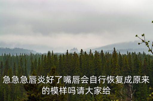 唇炎是什么，急急急速求解唇炎讓嘴唇腫厚唇炎好了嘴唇會自行恢復原