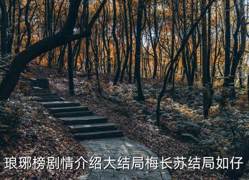 瑯琊榜劇情介紹大結局梅長蘇結局如仔