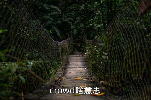 crowd啥意思
